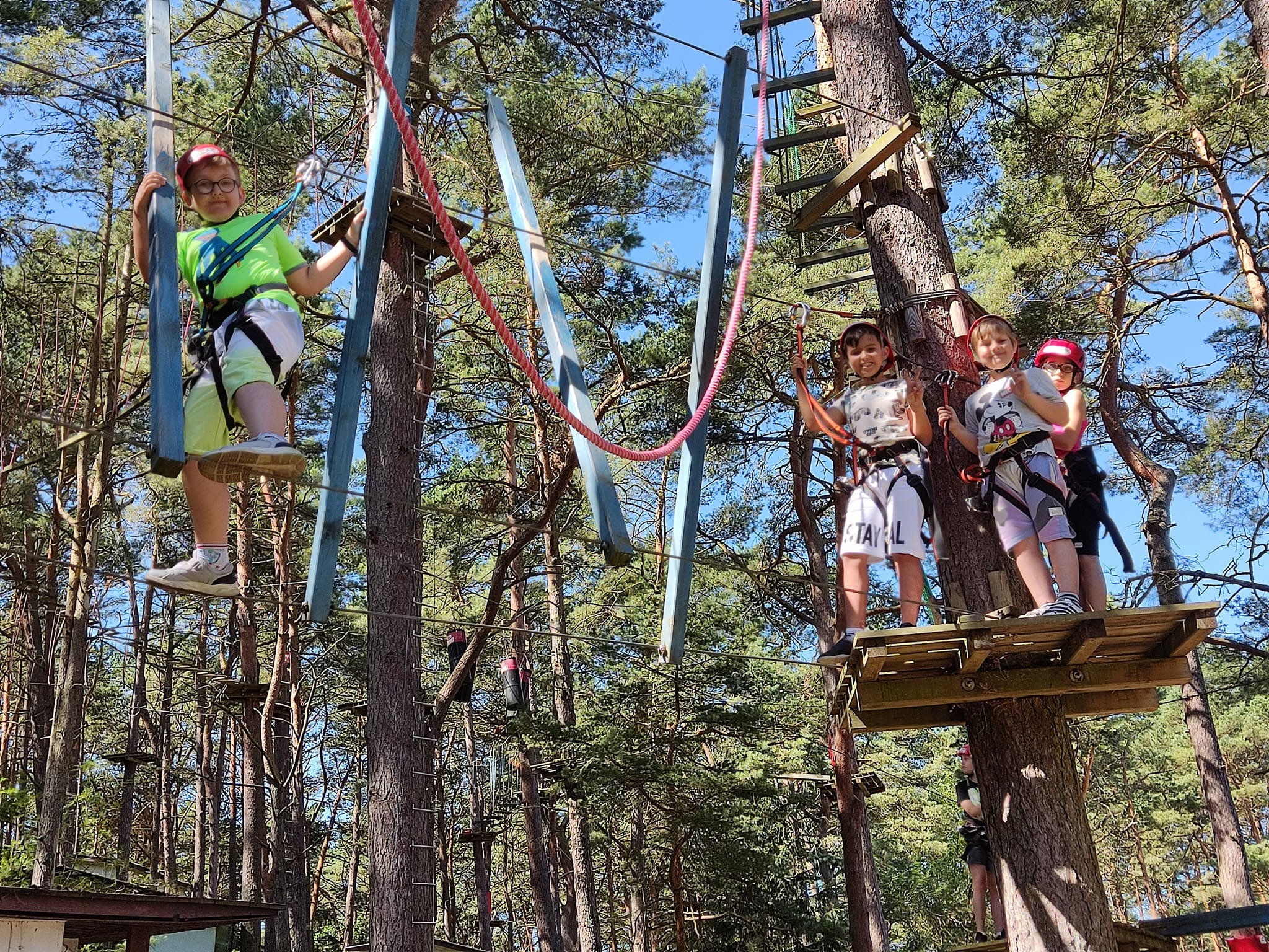 Grupa dzieci w uprzężach w parku linowym, pokonujących przeszkody zawieszone między drzewami, widok na las i błękitne niebo.