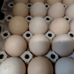 Blik z góry na kartonowe opakowanie z jasnymi, nieidealnie czystymi jajami o różnym odcieniu beżu.