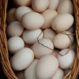 Kosz wiklinowy wypełniony świeżymi produktami o delikatnych odcieniach bieli i beżu, z widocznymi drobnymi zabrudzeniami na niektórych skorupkach i fragmentem suchej trawy wewnątrz.