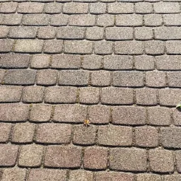 Dachówka bitumiczna pokryta mchem, widoczna z bliska z perspektywy ukośnej.