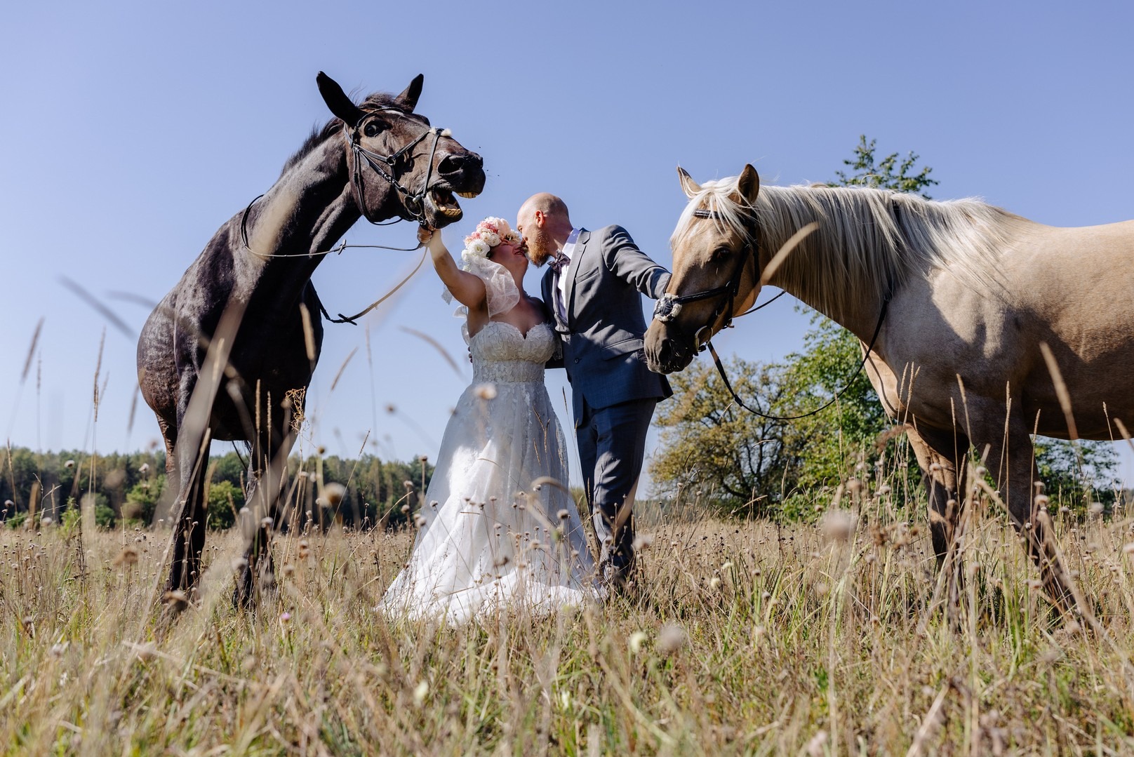 Para młoda całuje się na łące, trzymając konie za uzdy; panna młoda w koronkowej sukni, pan młody w szarym garniturze, jeden koń czarny, drugi beżowy; tło łąki i nieba.