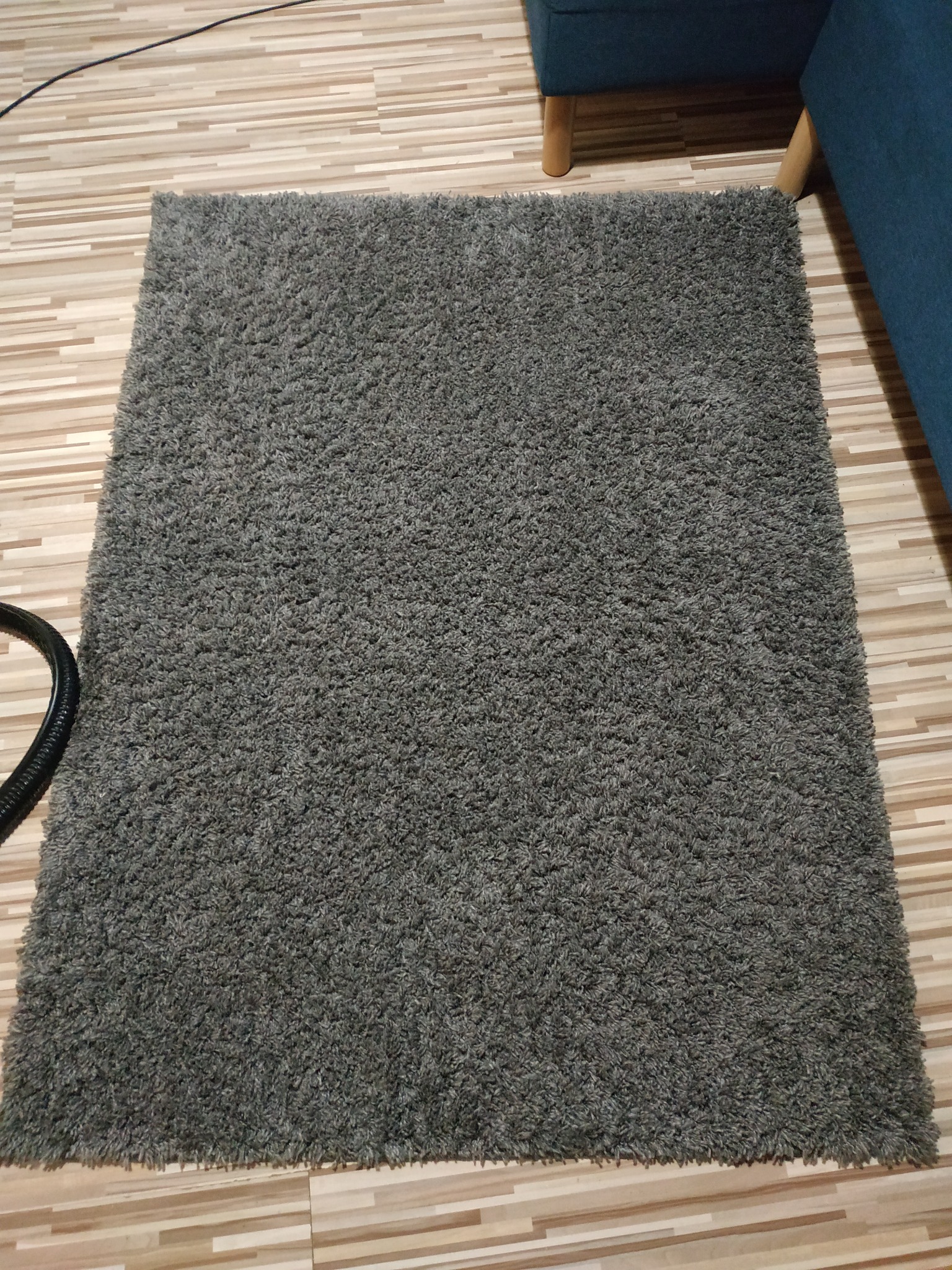 Szary, włochaty dywan leżący na panelach podłogowych, widoczny fragment odkurzacza i nogi niebieskiej kanapy.