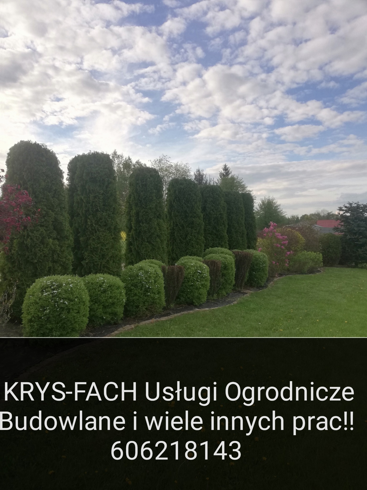 Równy rząd strzyżonych tuj i kulistych krzewów w zadbanym ogrodzie, widok z poziomu trawnika, błękitne niebo z chmurami w tle, dolna część zdjęcia zasłonięta tekstem reklamowym firmy ogrodniczej.