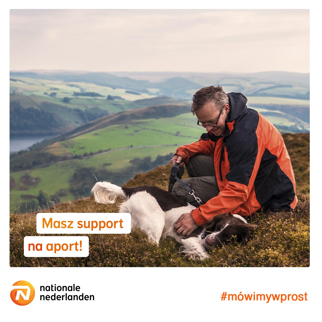 Mężczyzna w pomarańczowo-czarnej kurtce, siedząc na wzgórzu z widokiem na dolinę, głaszcze leżącego psa rasy springer spaniel; w tle zielone wzgórza i jezioro.