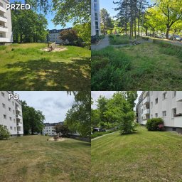 Pielęgnacja ogrodów Nowy Sącz 2