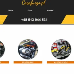 Harley Davidson tuning & service