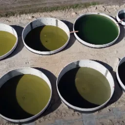Widok z góry na okrągłe, betonowe zbiorniki wypełnione wodą o różnych odcieniach zieleni i szarości, rozmieszczone na piaszczystym terenie z widocznymi śladami opon.