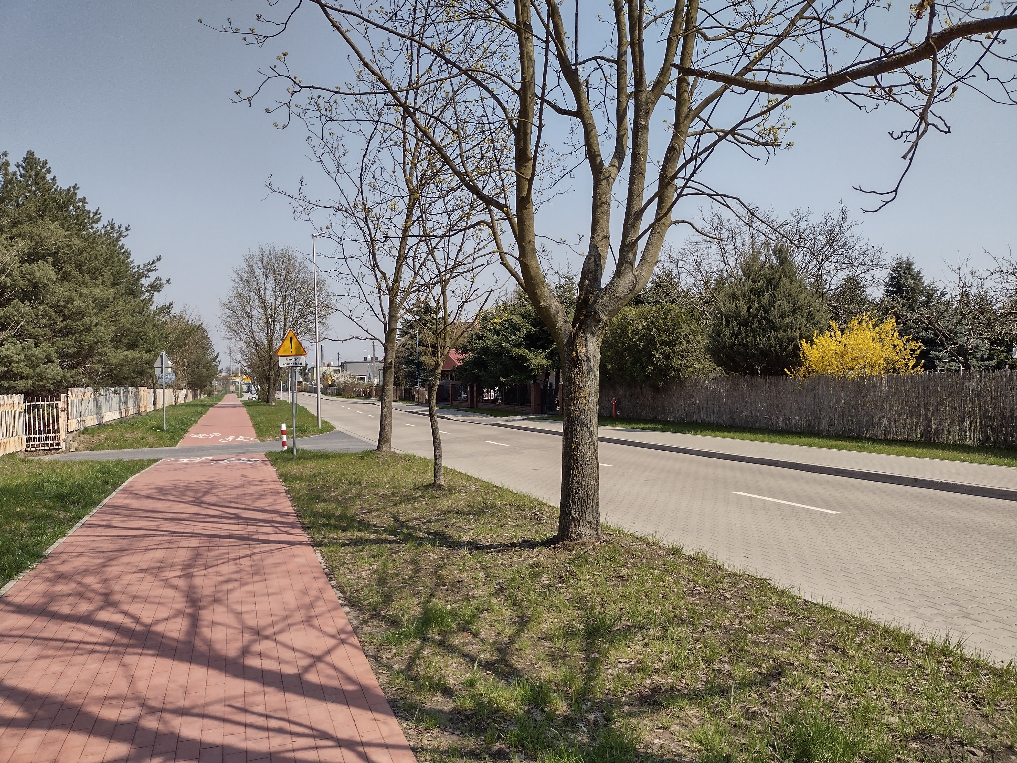 Czerwona ścieżka rowerowa z kostki brukowej, oświetlona słońcem rzucającym cienie drzew, biegnąca wzdłuż asfaltowej drogi z widocznym znakiem ostrzegawczym.