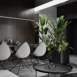 Spacja Studio - Projekt wnętrz apartamentu w Warszawie - Spacja Studio