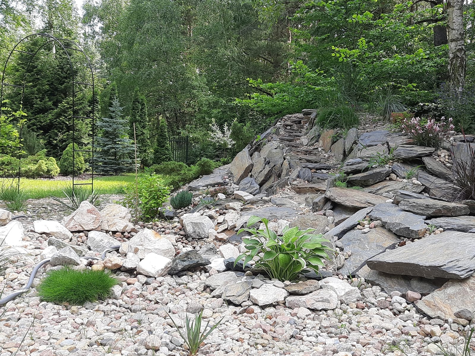 Aranżacja ogrodu z kamienną ścieżką i roślinnością ozdobną. Widoczne różne gatunki roślin, kamienie różnej wielkości i metalowa konstrukcja łukowa.