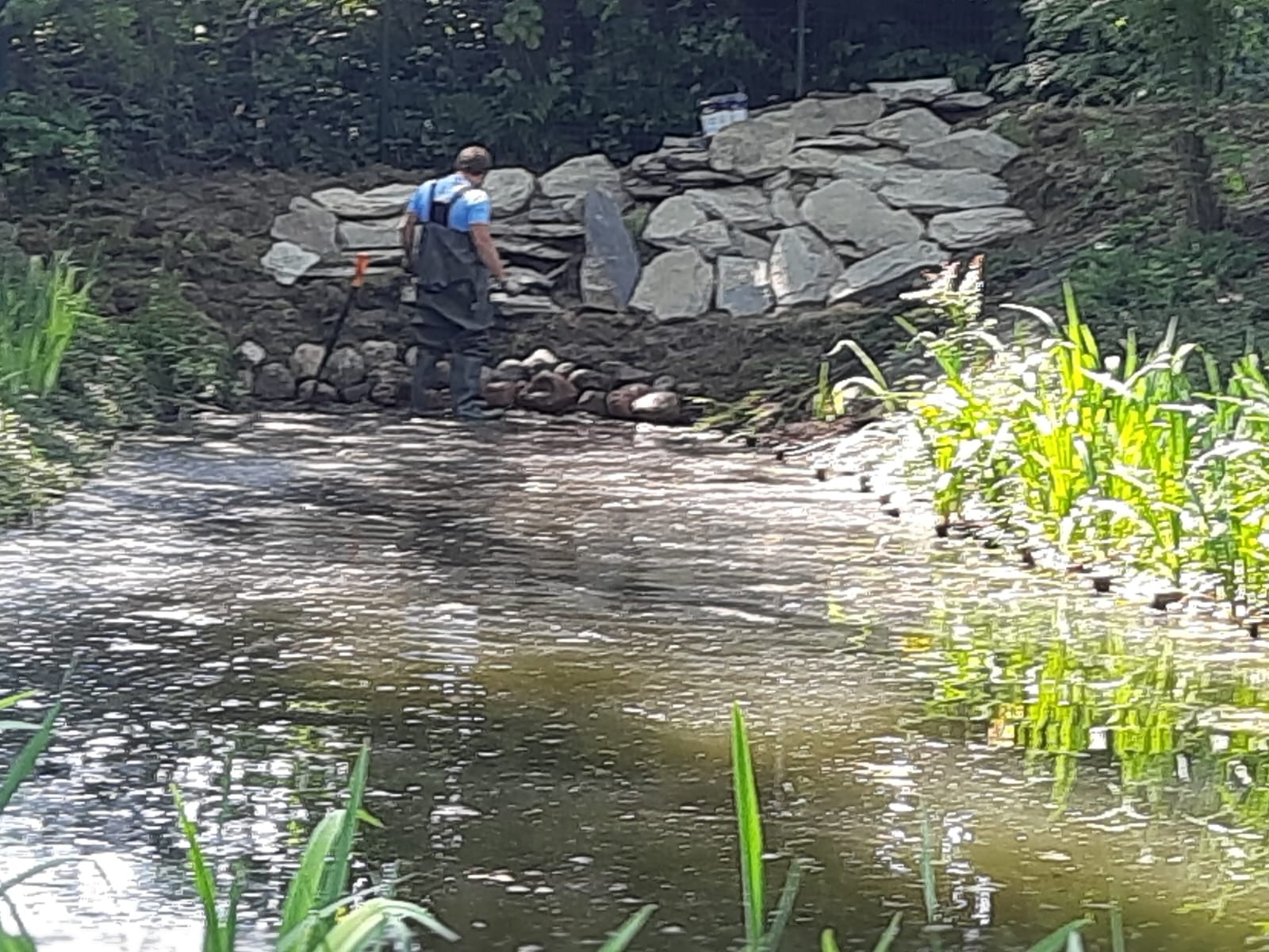 Pracownik w woderach, z łopatą, buduje kaskadę z kamieni nad brzegiem stawu. W tle widoczne drzewa i roślinność wodna.