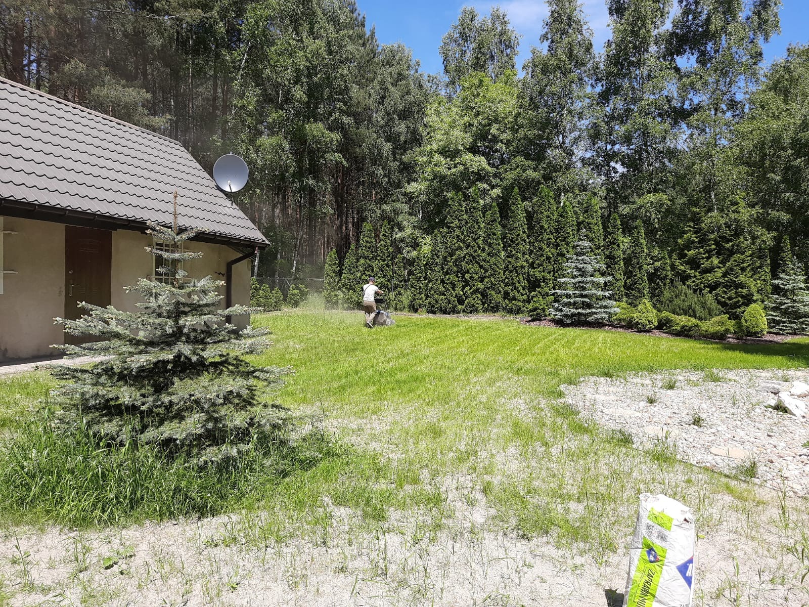 Mężczyzna kosi trawę na zielonym trawniku przed domem z iglakami. W tle las i błękitne niebo. Widać worek z nawozem.