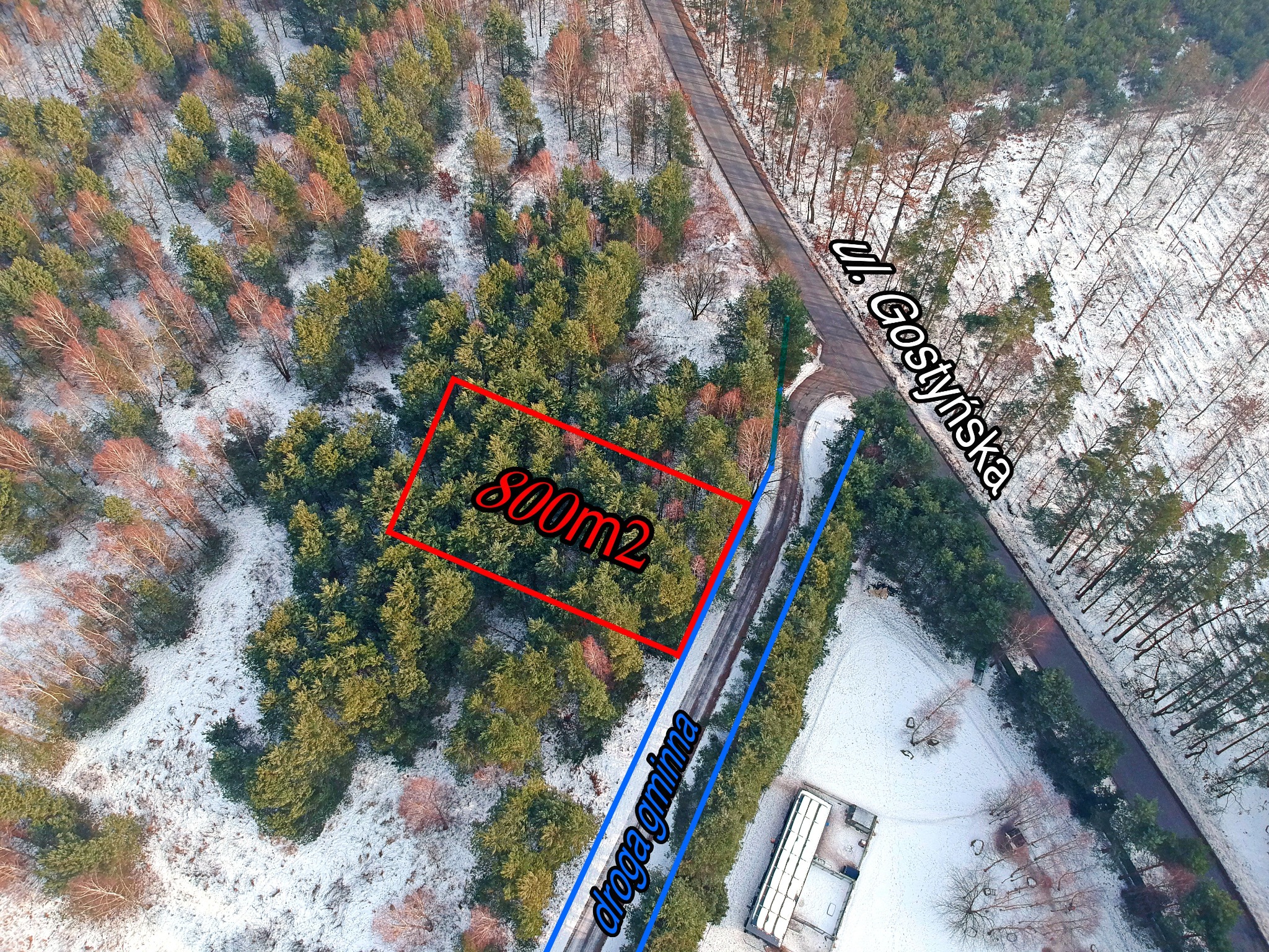 Zdjęcie z drona prezentujące działkę 800m2 otoczoną lasem, z zaznaczoną drogą gminną i ulicą Gostyńską. Zimowy krajobraz z lekkim śniegiem.
