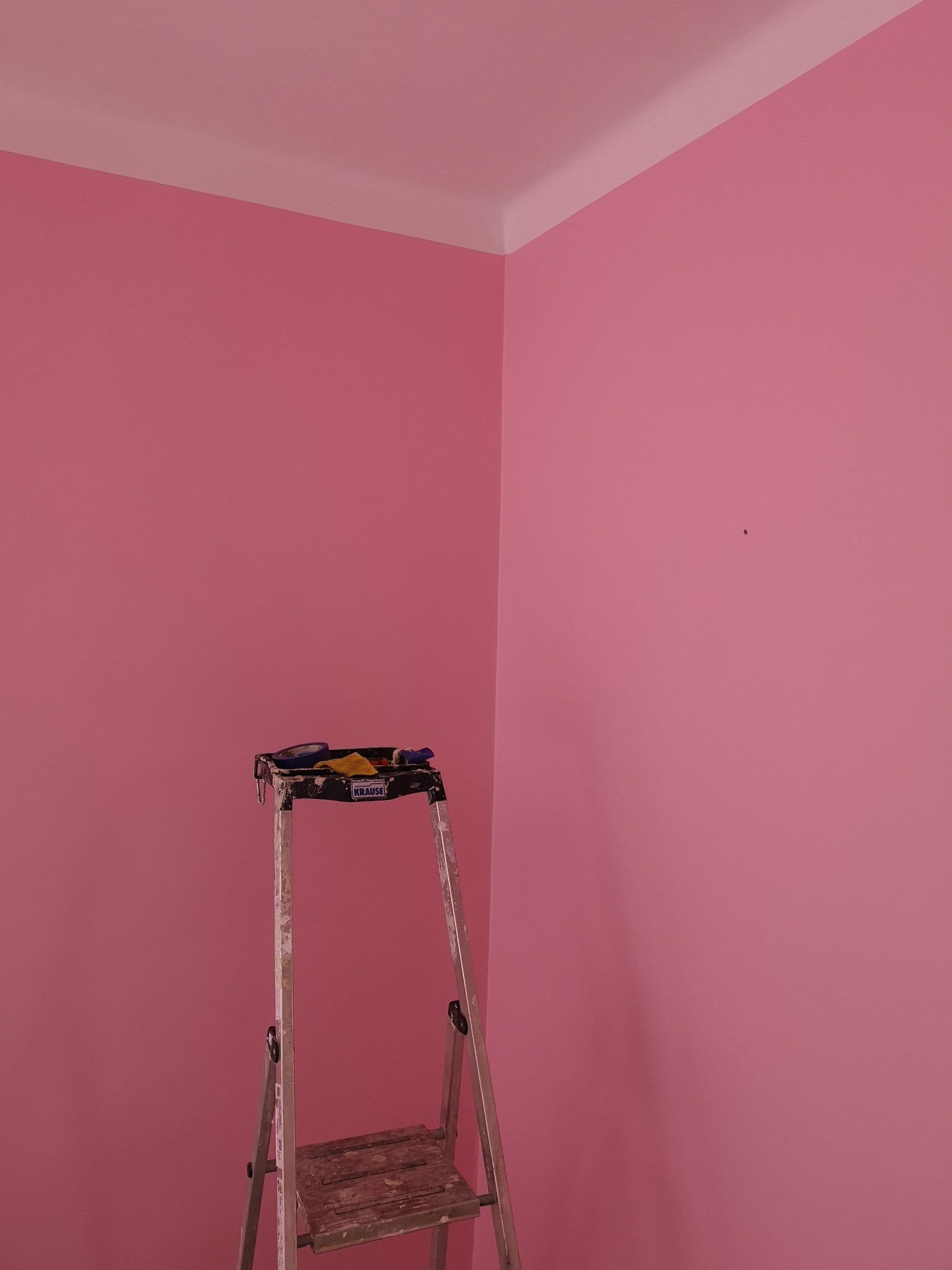 Różowa ściana w rogu pomieszczenia z białą listwą sufitową, drabina Krause z narzędziami malarskimi na górnym stopniu.
