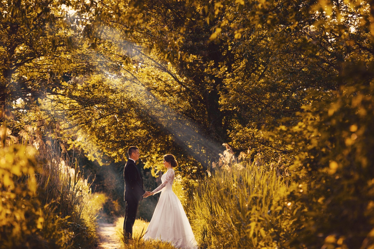 Para młoda trzymająca się za ręce na leśnej ścieżce, oświetlona promieniami słońca przebijającymi się przez korony drzew.