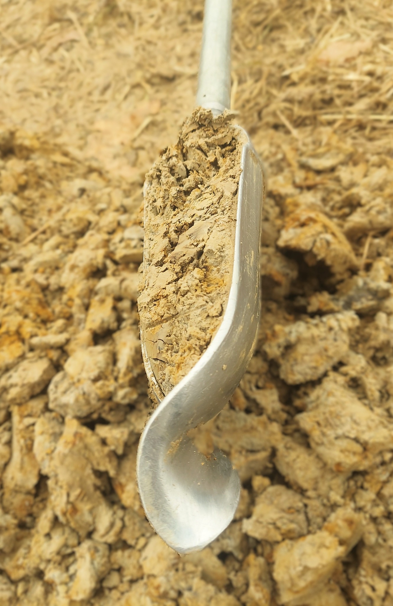 Próbka gleby w świdrze glebowym, ukazująca strukturę i skład ziemi. Narzędzie w bliskim ujęciu na tle naturalnego gruntu. Analiza geologiczna.