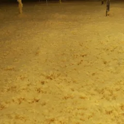 Poddasze pokryte grubą warstwą natryskowej pianki poliuretanowej, widoczne drewniane elementy konstrukcyjne