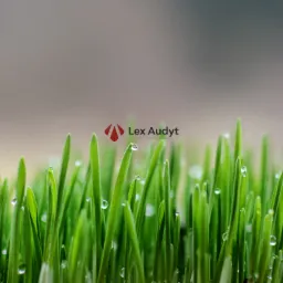 Logo firmy Lex Audyt umieszczone nad świeżą trawą z kroplami rosy, symbolizujące wzrost i przejrzystość finansową.