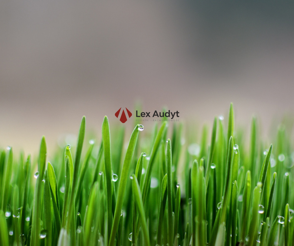 Logo firmy Lex Audyt umieszczone nad świeżą trawą z kroplami rosy, symbolizujące wzrost i przejrzystość finansową.