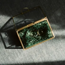 Dwa złote pierścionki ślubne w szklanym pudełku wypełnionym zielonym mchem, leżącym na szarym płótnie w plamach światła.