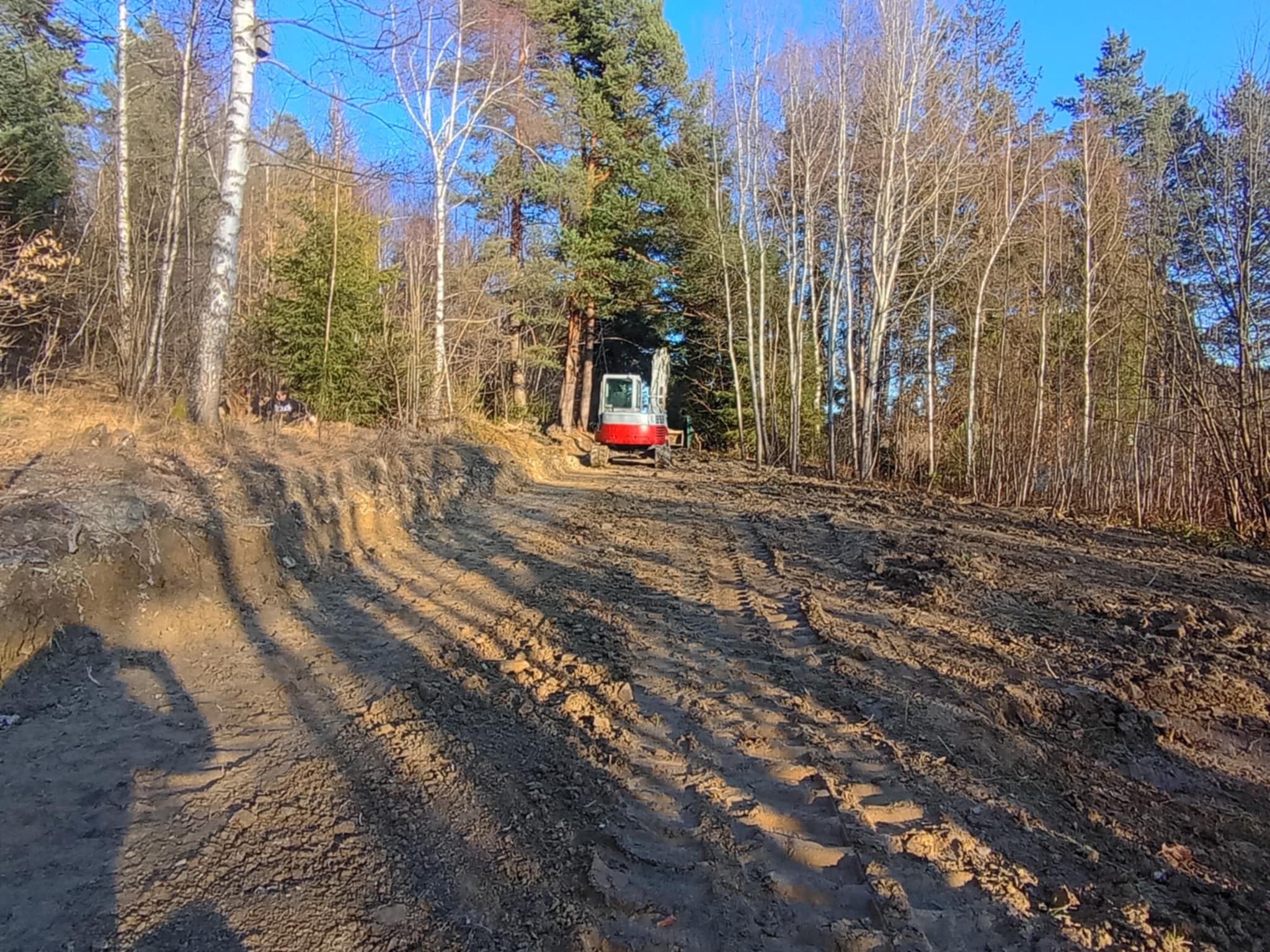 Czerwono-biała mini koparka na wykarczowanym terenie leśnym, widoczne ślady opon w ziemi, błękitne niebo w tle. Przygotowanie terenu pod budowę.