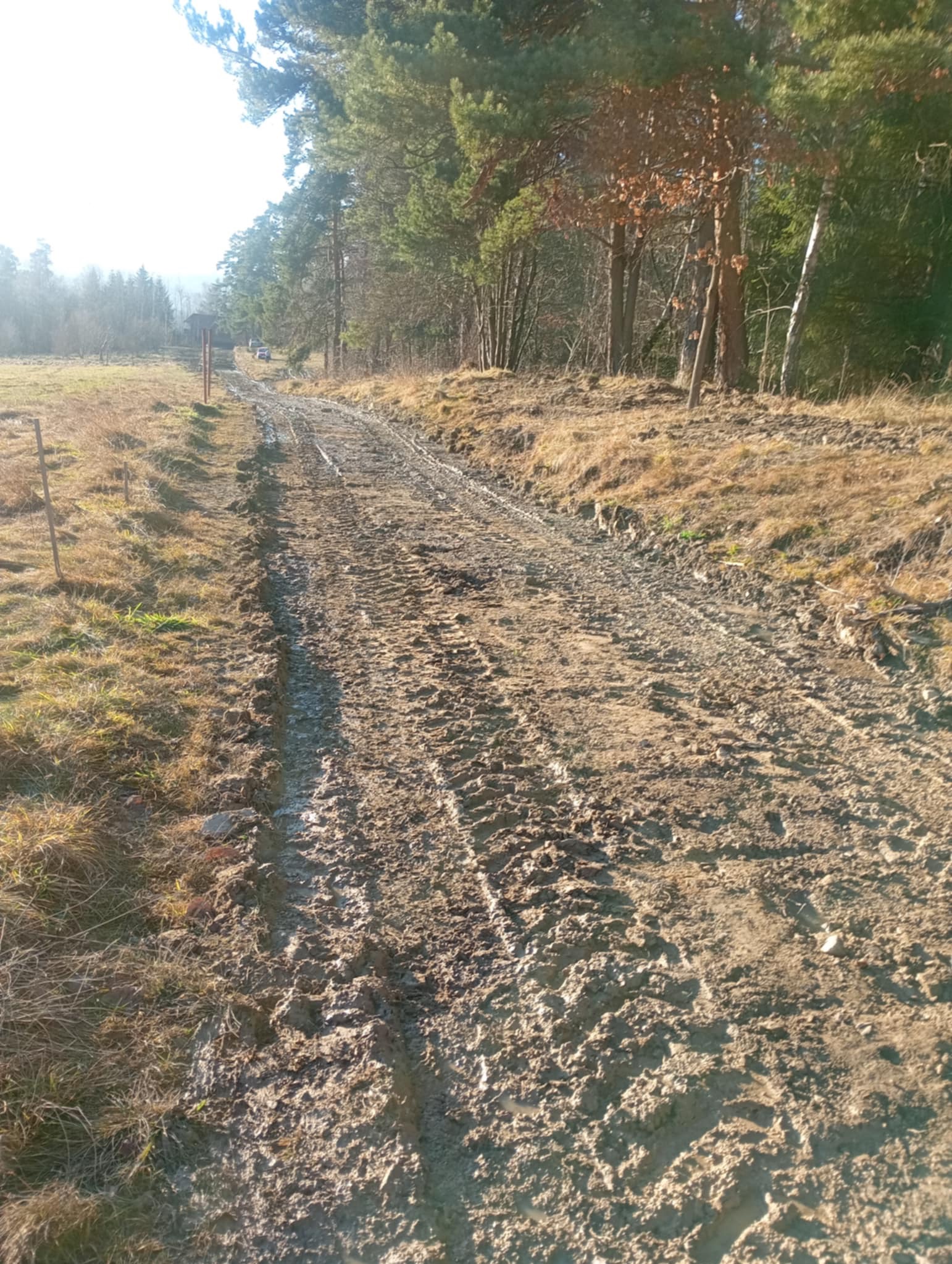 Utrudniony przejazd po błotnistym terenie w Rabce-Zdroju. Ślady opon wskazują na niedawne prace ziemne. W tle las i zabudowania.