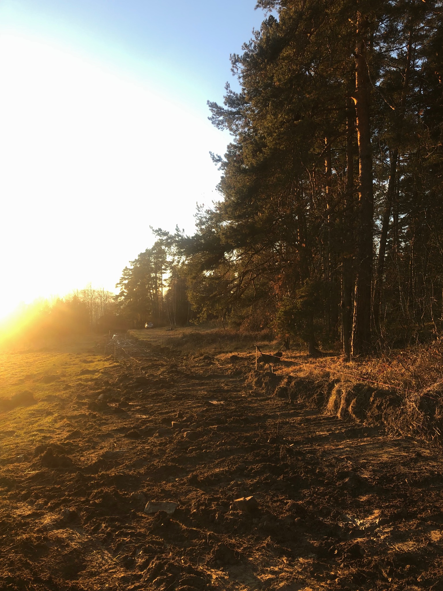 Przygotowany teren pod budowę w lesie, widoczne ślady po pracach ziemnych, oświetlone zachodzącym słońcem. W tle drzewa i błękitne niebo.