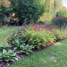 Kaskadowy ogród z rabatami kwiatowymi i korą drzewną, widok na drewniany domek ogrodowy w tle.