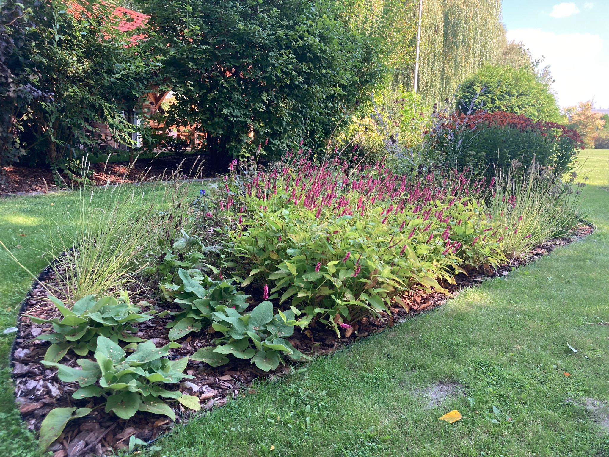 Kaskadowy ogród z rabatami kwiatowymi i korą drzewną, widok na drewniany domek ogrodowy w tle.