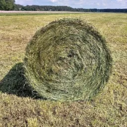 Okazała bela siana na polu, rzucająca cień, z widocznym horyzontem i zielenią w tle.