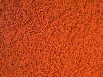 Pomarańczowa, chropowata struktura tynku elewacyjnego widziana z bliska, ukazująca nierównomierną fakturę i ziarnistość materiału.