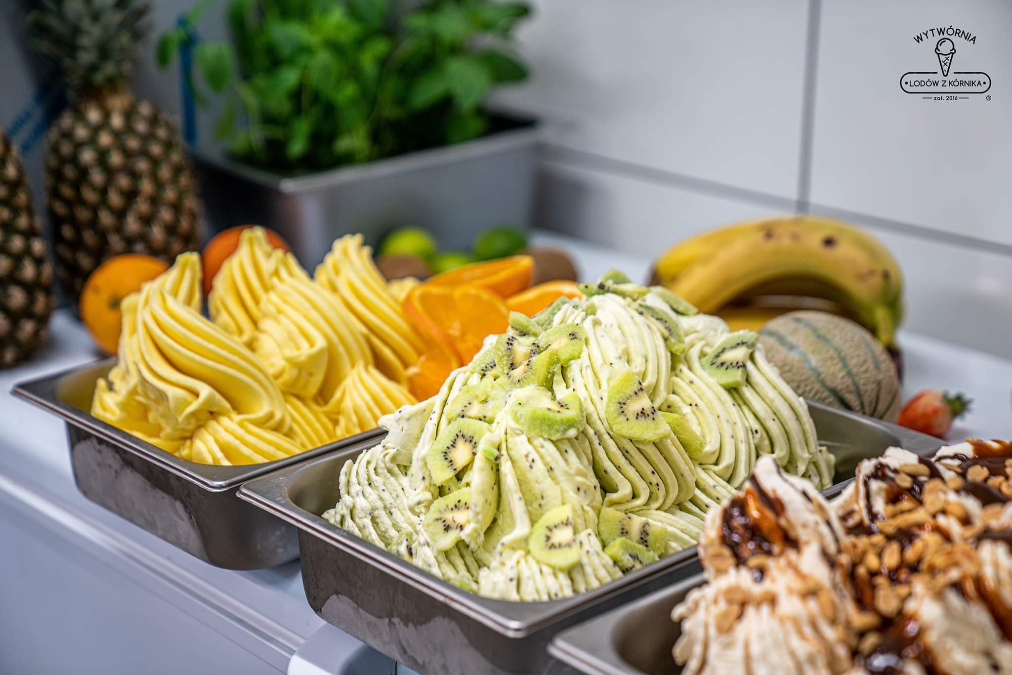 Metalowe pojemniki z lodami o różnych smakach: żółte mango, zielone kiwi i orzechowe z polewą karmelową, ananas, pomarańcze i banan w tle, logo producenta w prawym górnym rogu.