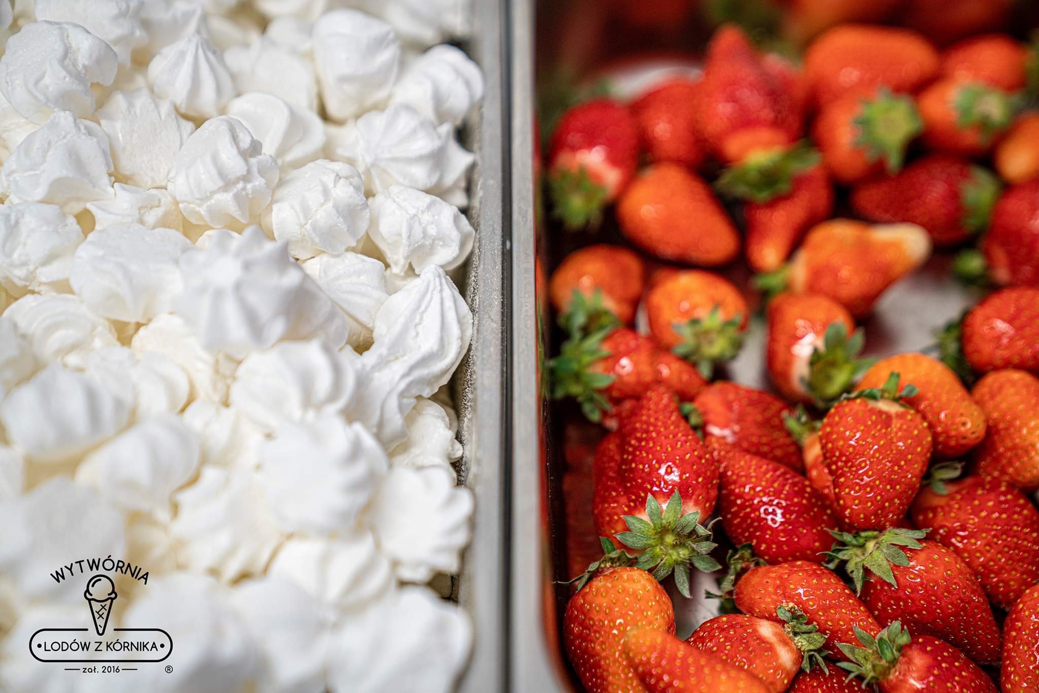 Dwa pojemniki: jeden wypełniony białymi bezami, drugi świeżymi, czerwonymi truskawkami z zielonymi szypułkami, z widocznym logotypem 'Wytwórnia Lodów z Kórnika'.