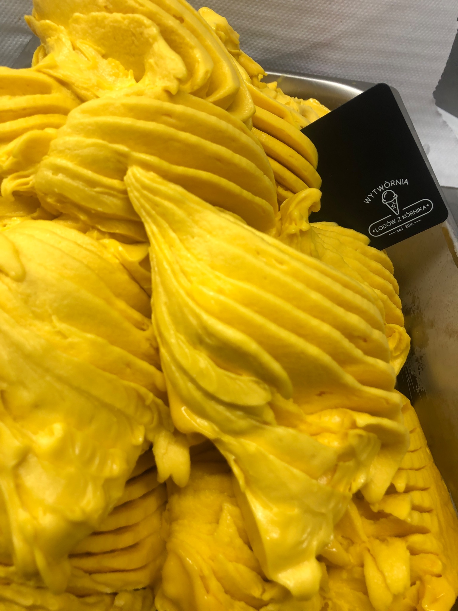 Intensywnie żółte lody mango ułożone w faliste wzory w metalowej kuwecie, obok czarna tabliczka z logo 'Wytwórnia Lodów z Kórnika'.