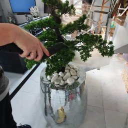 Firma usługowa Róża Bonowicz - Czyszczenie parowe sztucznego drzewka bonsai w dekoracyjnej, srebrnej donicy z mozaiką lustrzaną; widoczny parownik Karcher i marmurowa podłoga.