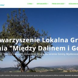 Strona internetowa stworzona dla stowarzyszenia lokalnej grupy " Między Dalinem i Gościbią". Stowarzyszenie działa na terenie gminy Myślenic i gminy Sułkowic.