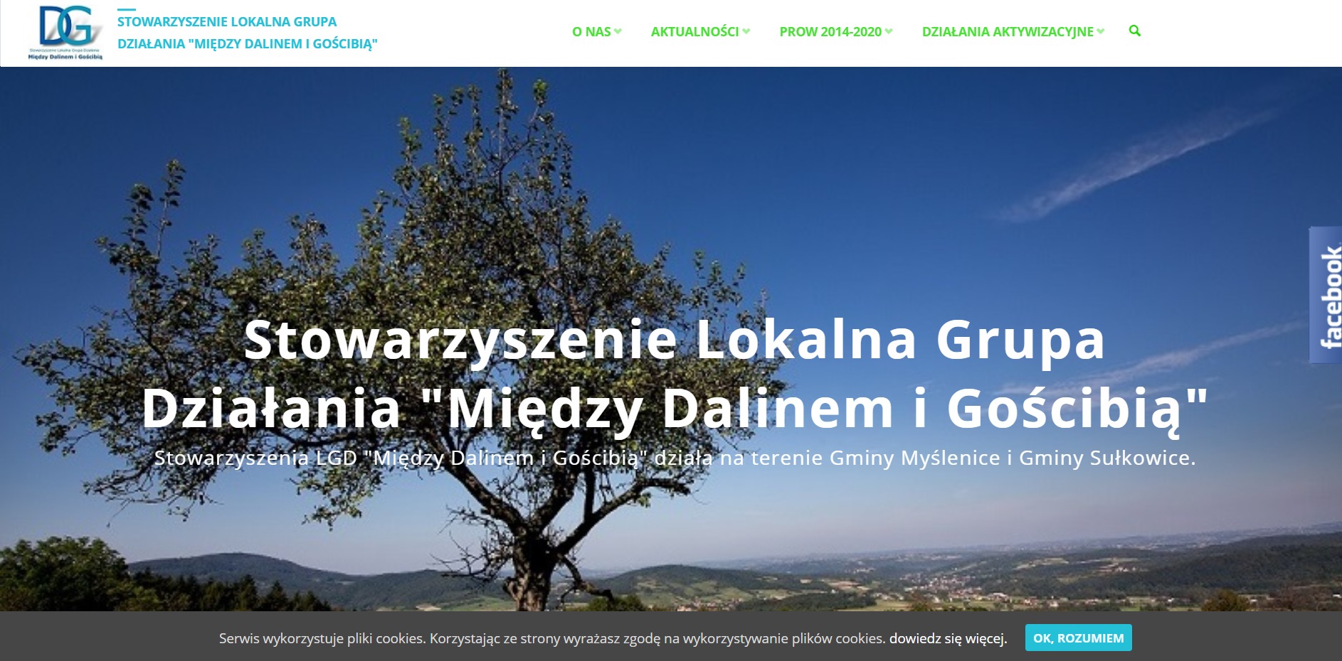 Strona internetowa stowarzyszenia lokalnej grupy działania z widocznym drzewem na tle krajobrazu, nawigacja w górnej części, nazwa i opis organizacji na pierwszym planie.
