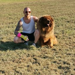 ProArt Inside Kamil Kaczyński - Usługi Malarskie Gliwice