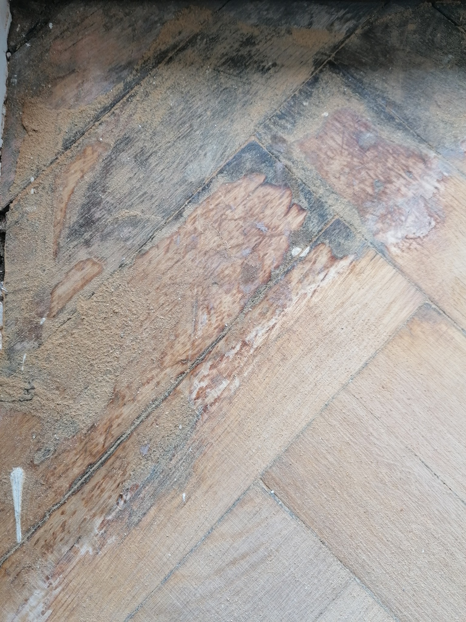 Fragment podłogi parkietowej ułożonej w jodełkę, pokrytej pyłem po obróbce, z widocznymi śladami po wcześniejszych warstwach wykończeniowych i pozostałościami białej farby przy listwie przypodłogowej.