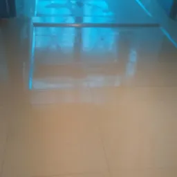 Nadleśnictwo Szczecinek 700m2