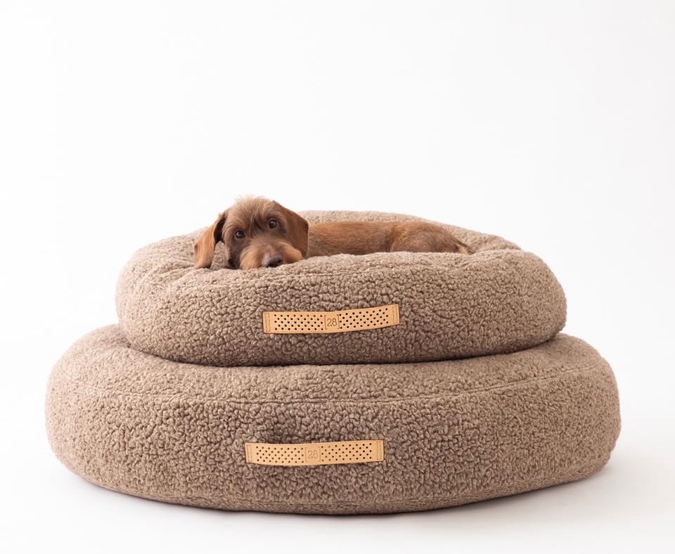 Dwuwarstwowe, okrągłe legowisko dla psa z beżowego pluszu. Na górnym poziomie leży jamnik szorstkowłosy, opierając pysk. Widoczne skórzane metki z perforacją.