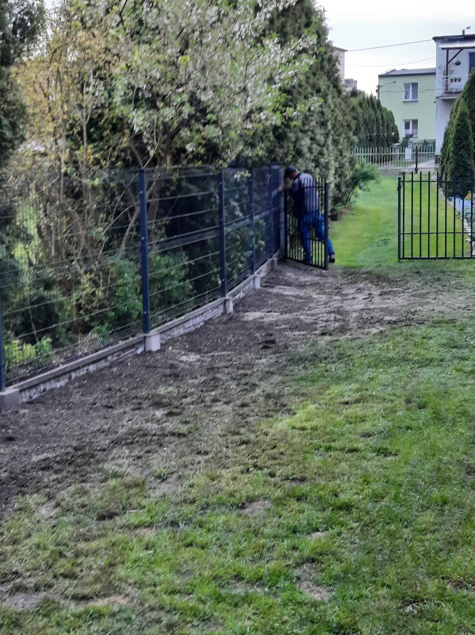 Montaż nowoczesnego ogrodzenia panelowego z betonową podmurówką; widoczny pracownik przy furtce i przygotowany teren pod trawnik.