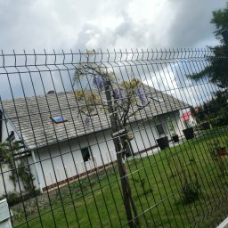 Wycinka drzew Smolec 1