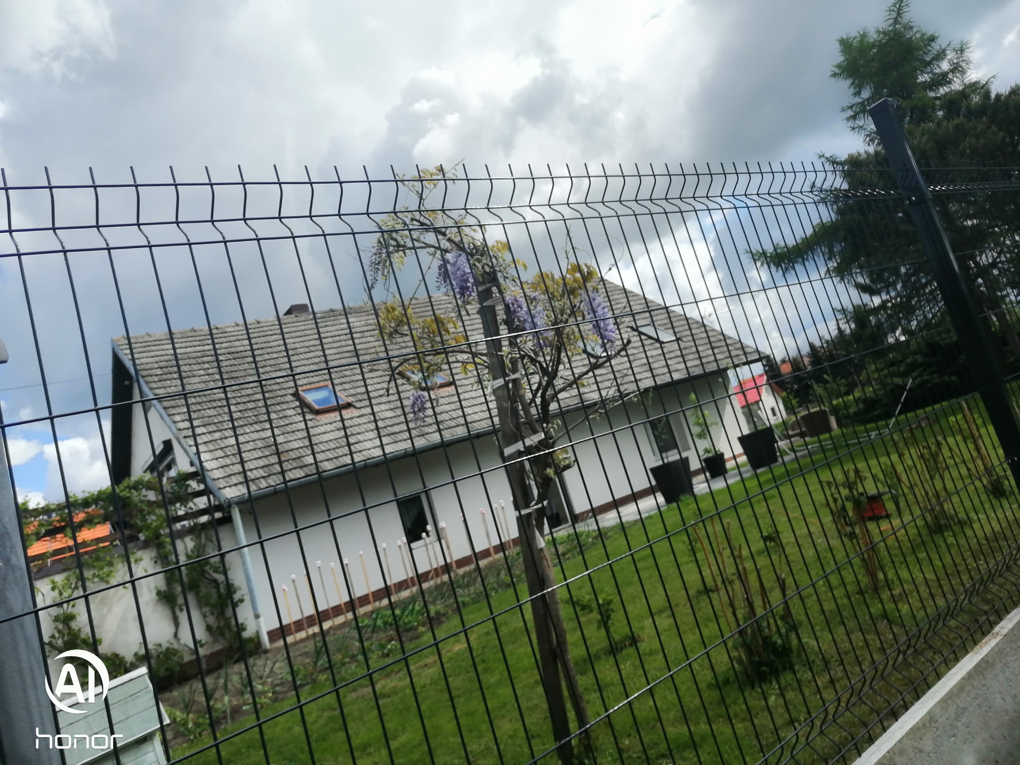 Czarny metalowy płot panelowy z widokiem na dom z szarą dachówką, ogród z młodymi drzewkami i kwitnącą glicynią, pochmurne niebo w tle.