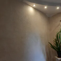 Teksturowana ściana w odcieniach beżu z dekoracyjną rośliną w doniczce, oświetlona punktowymi lampami sufitowymi.