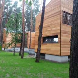 Dwa nowoczesne budynki mieszkalne z drewnianą elewacją, otoczone lasem sosnowym, widoczne przez pnie drzew na pierwszym planie.