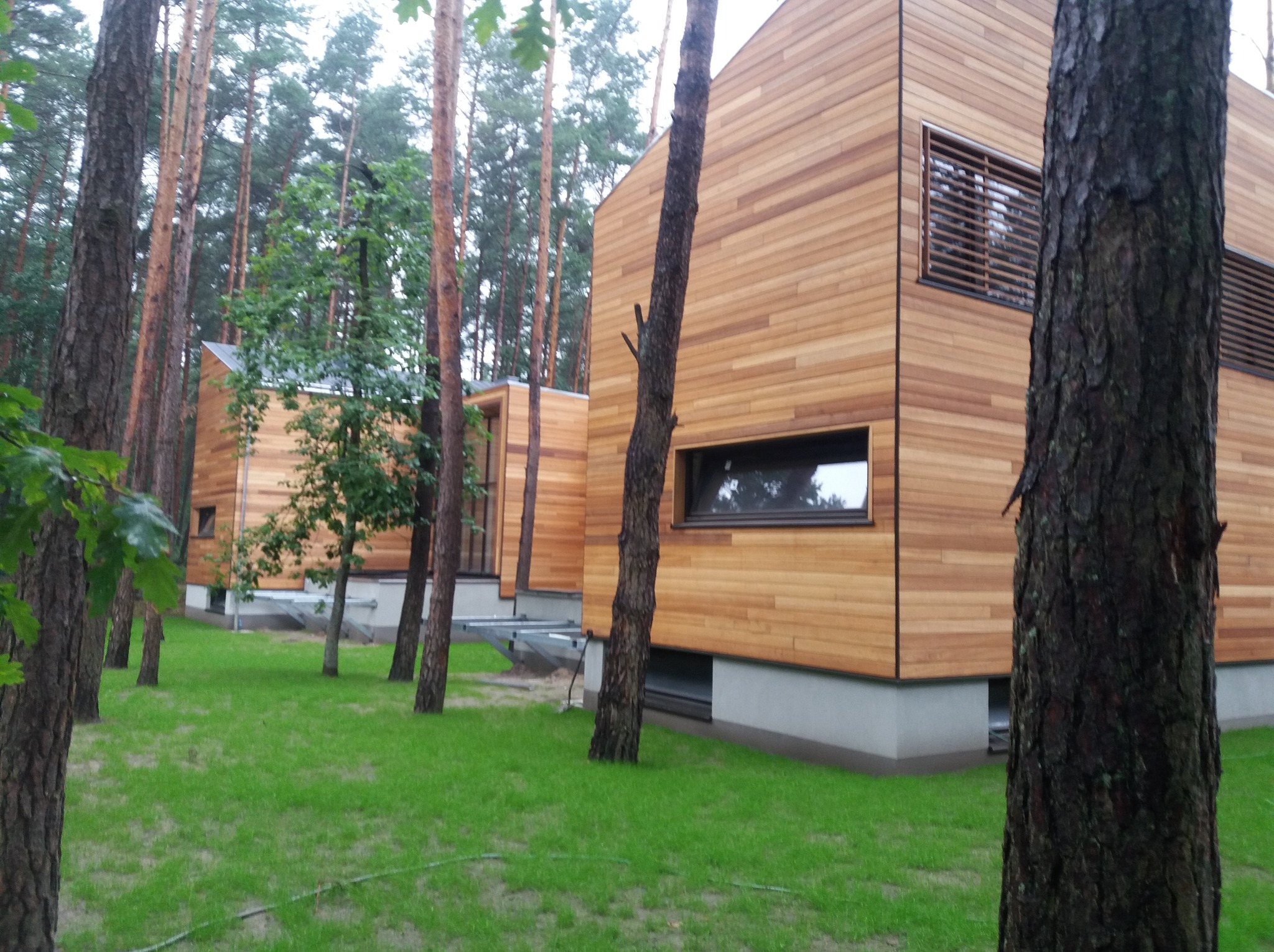Dwa nowoczesne budynki mieszkalne z drewnianą elewacją, otoczone lasem sosnowym, widoczne przez pnie drzew na pierwszym planie.