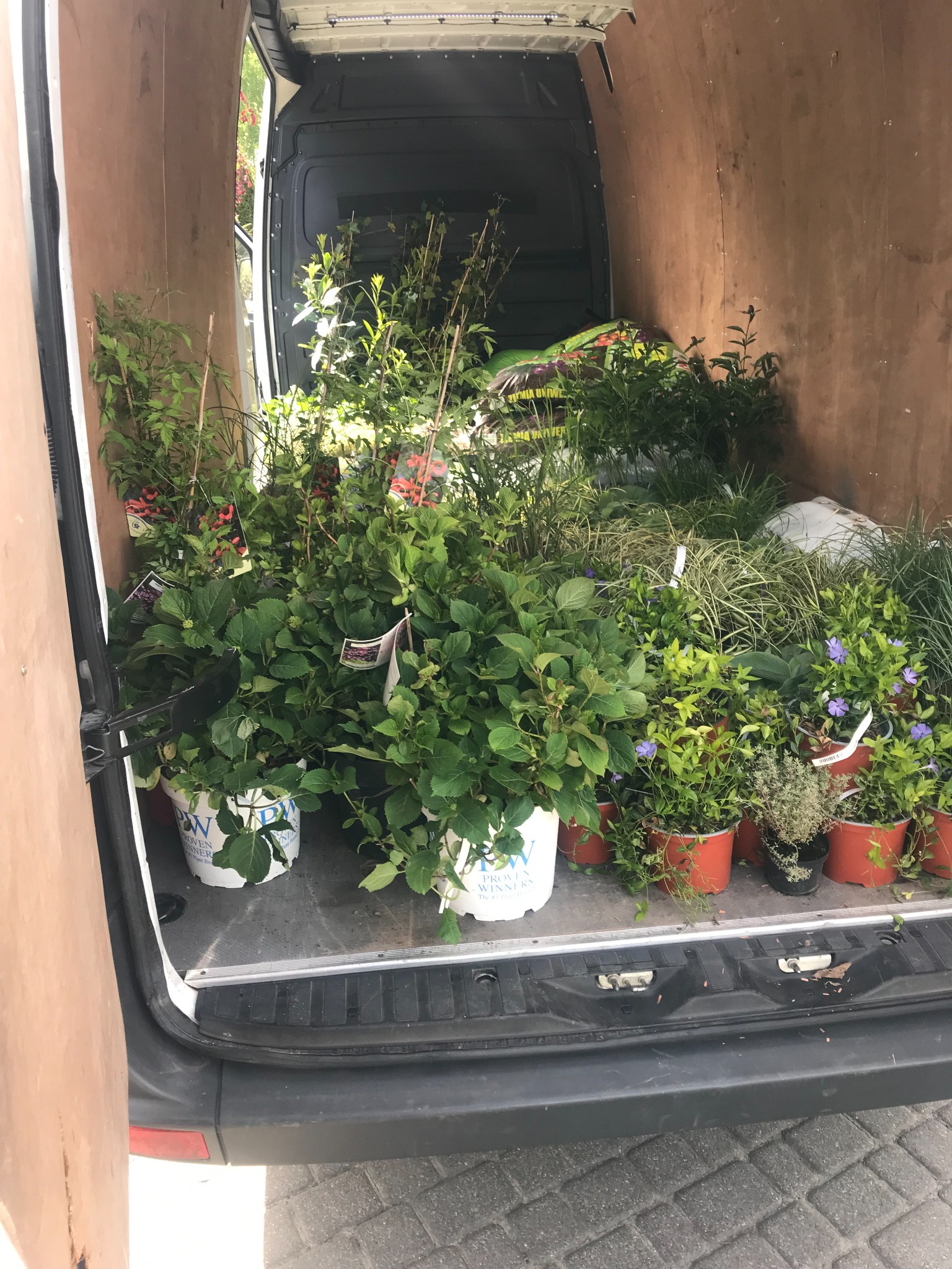 Wnętrze furgonetki wypełnione roślinami w doniczkach, przygotowanymi do transportu, widoczne etykiety producentów i odmian.