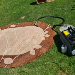 Owalny dywan z kwiatowym wzorem leży na trawie obok odkurzacza piorącego z żółtymi elementami i czarnym wężem ssącym, którego końcówka znajduje się na dywanie.