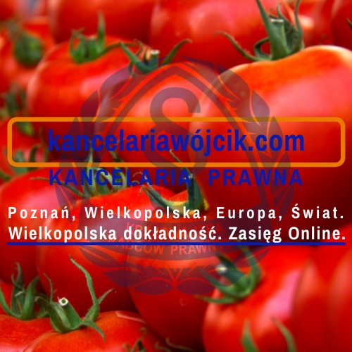 Grafika z logotypem Kancelarii Prawnej Wójcik na tle rozmytych pomidorów, z hasłem 'Poznań, Wielkopolska, Europa, Świat. Wielkopolska dokładność. Zasięg Online.'